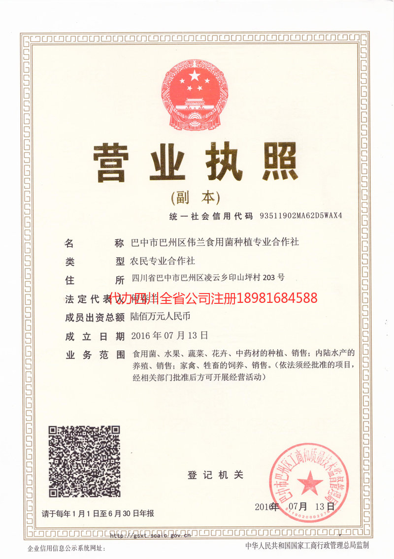 伊宁市伊宁市伟兰食用菌种植专业合作社